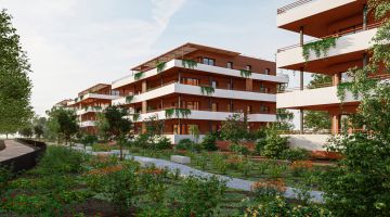 Programme Neuf Constellation 154 Céret