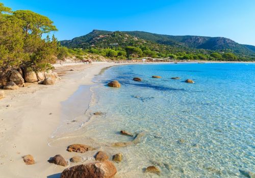Investir dans l'immobilier locatif en Corse en 2025